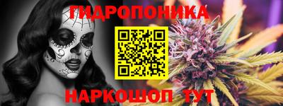 крисы Краснодар