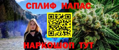 мяу мяу мука Краснознаменск