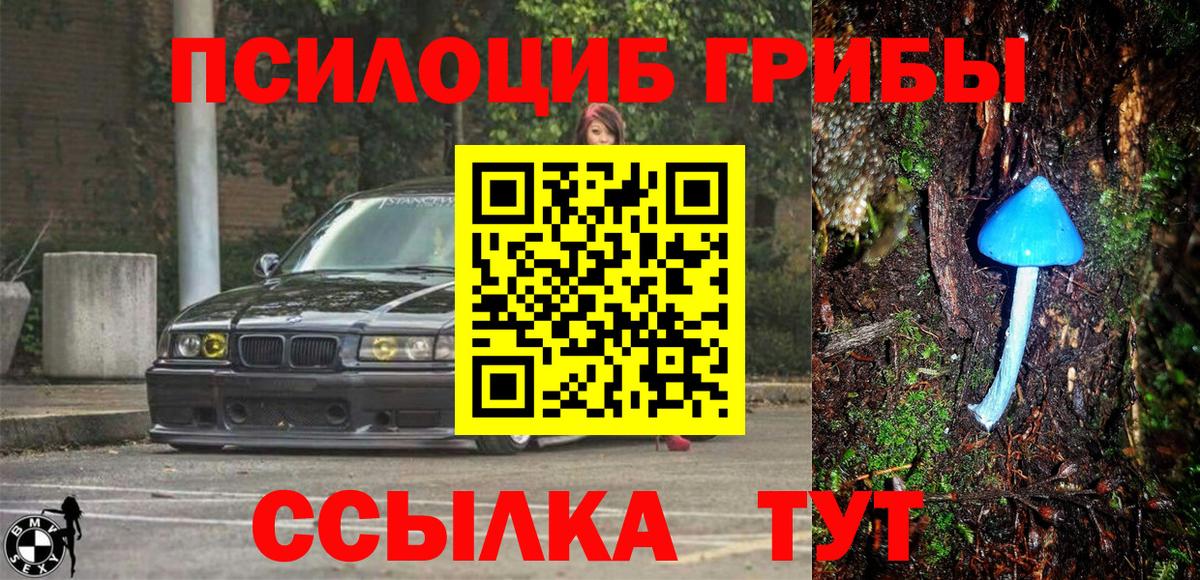 Коломна  Псилоцибиновые грибы Magic Shrooms  Вход с VPN 